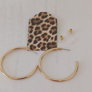 Elegant Gold Post Hoop Earrings